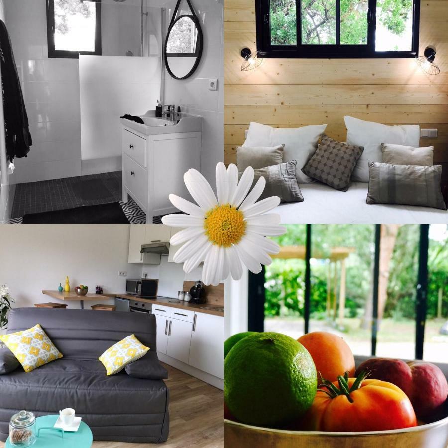 Casa Tagomago Villa Andernos-les-Bains Ngoại thất bức ảnh